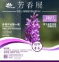 第七届中国国际芳香产业展览会(芳香展)即将在上海盛大开启